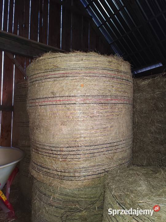 Sprzedam bele siana Paplin