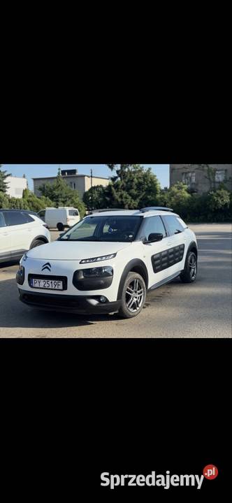 C4 cactus zamiana 170110km Poznań