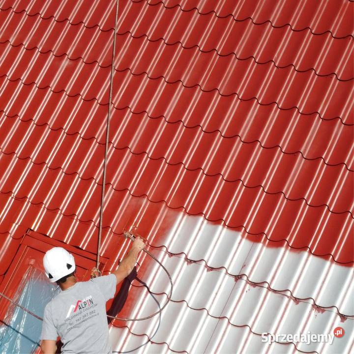 Malowanie Dachów Żywiec Mycie HotWater 500 Bar śląskie