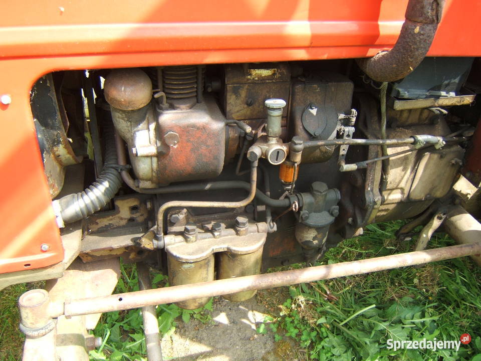 Zetor Major 7711 2511 5211524572117245 silnik Pozostałe Stoszowice