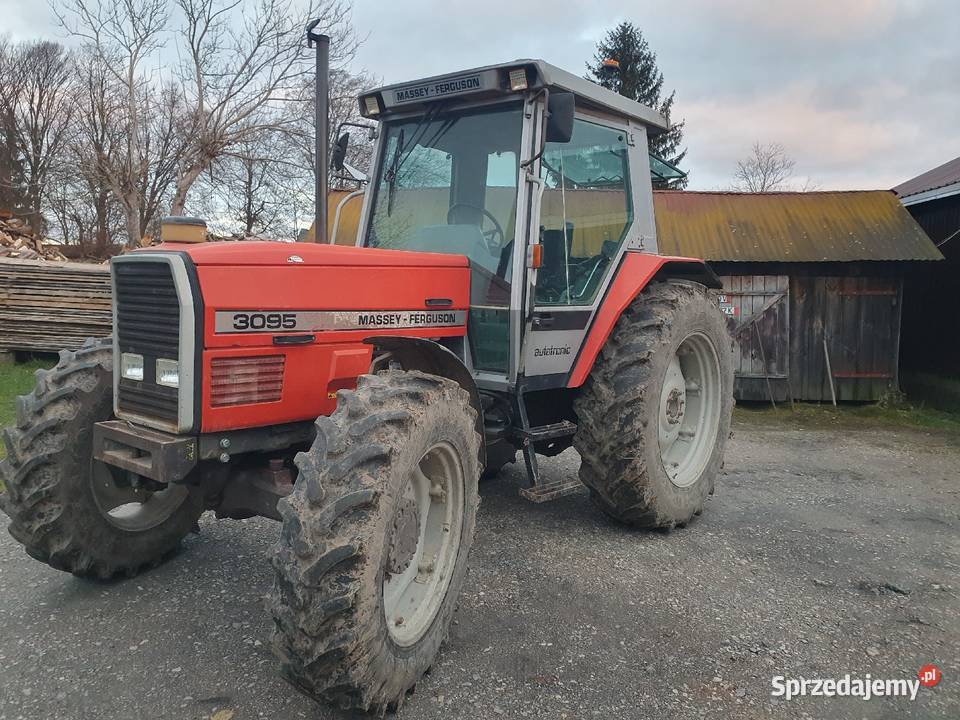Massey ferguson 3095 Zamość