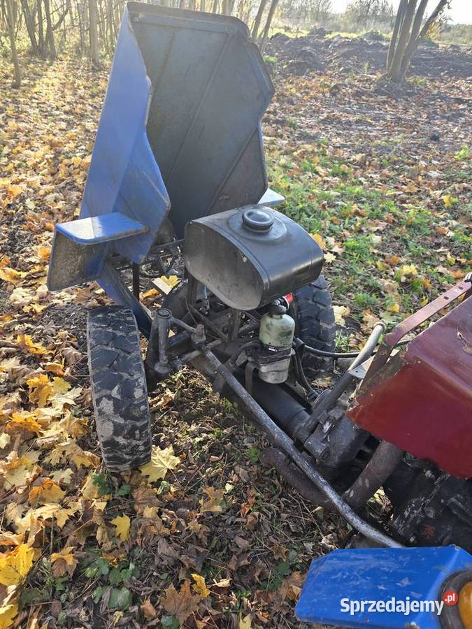 Traktorek Sam Ursus C308 Nowy Dwór-Parcela