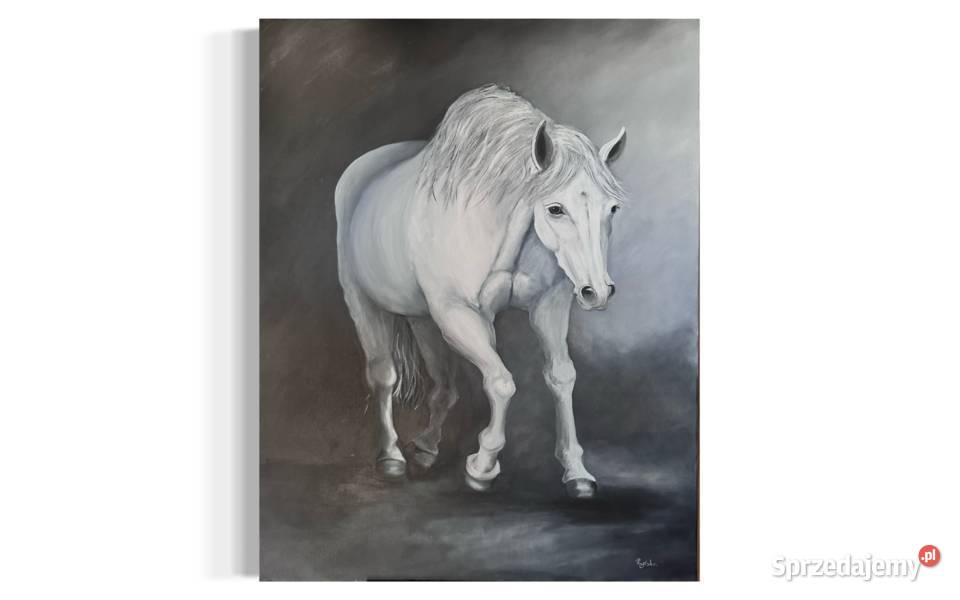 Obraz White horse Antyki, Sztuka, Kolekcje Kraków sprzedam