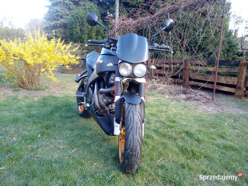 Buell xb12s lightning harley davidson sportster Buell