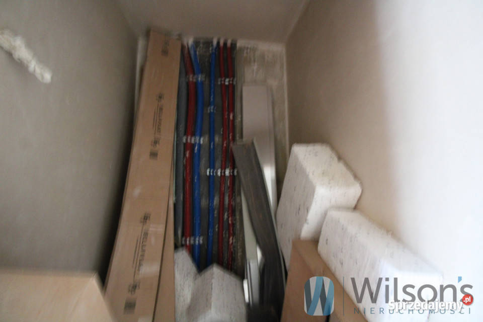 Dom wolnostojący 11766m2 Iwiny