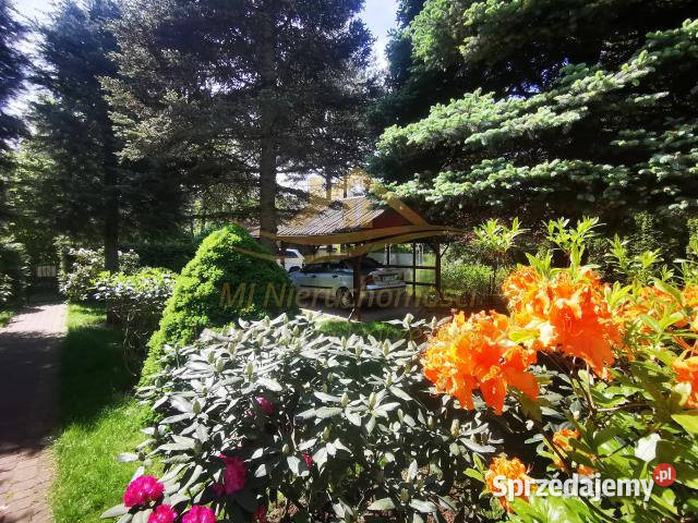 Grunt 506m2 Władysławów