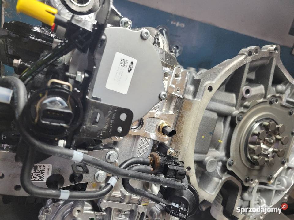 Rozrząd Ford 2011524 2301157 2011555 GK2Q8A615AA Pozostałe Radom