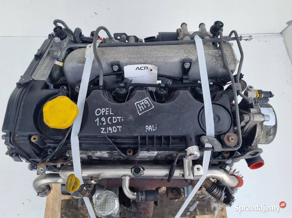 SILNIK KOMPLET Opel Astra III H 19 CDTI 120 Rudka