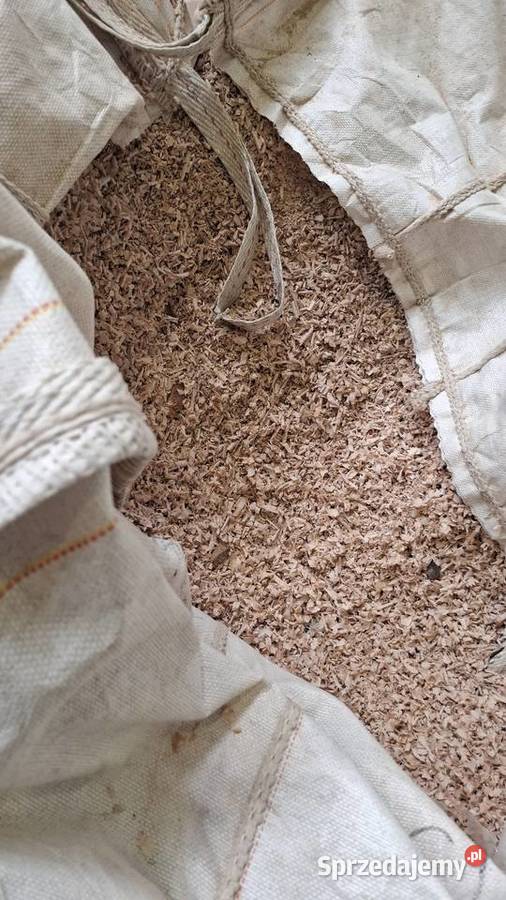 Trociny dębowe Kraków sprzedam