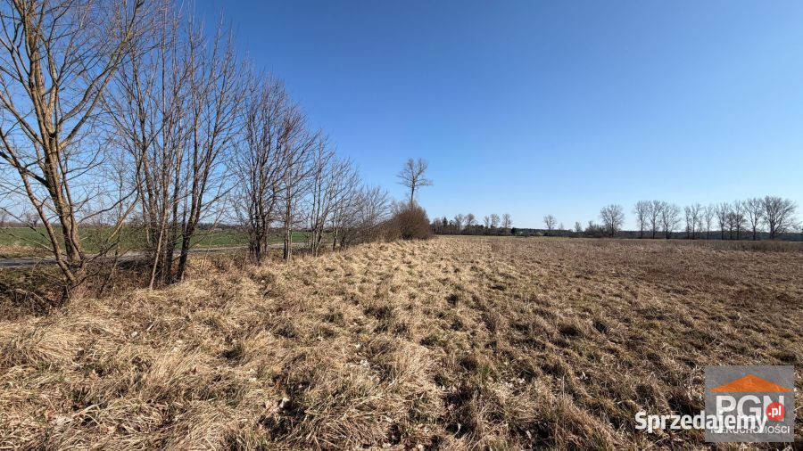 Działka Trzebieszewo 3019m2 30m sprzedam
