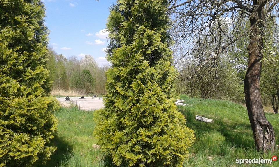 Sprzedam działkę z rozpoczętą budową domu Marcyporęba