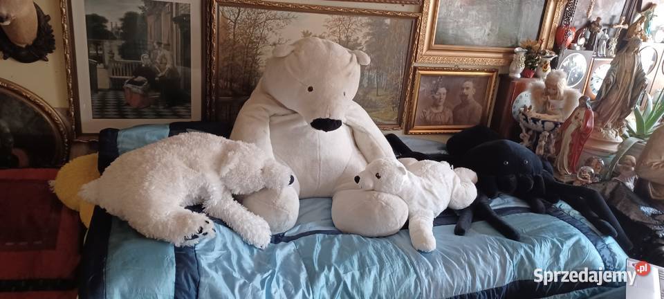 NIEDŻWIEDZIE POLARNE WIELKI CIĘŻKI MIĘKKI I 2 Poznań