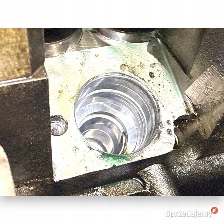 SILNIK BLS Skoda Fabia II Roomster 19 TDI 105 osobowe Chełm