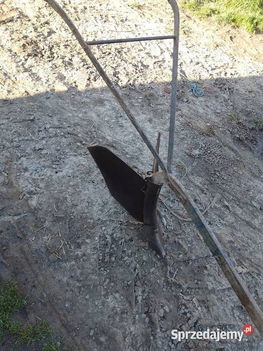 Pług konny Kaszuby sprzedam