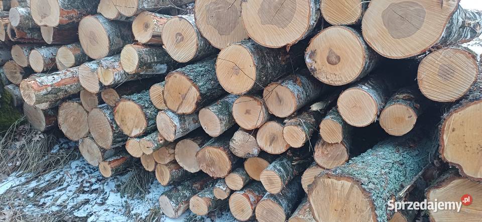 Sprzedam brzozę łupaną Swarzędz