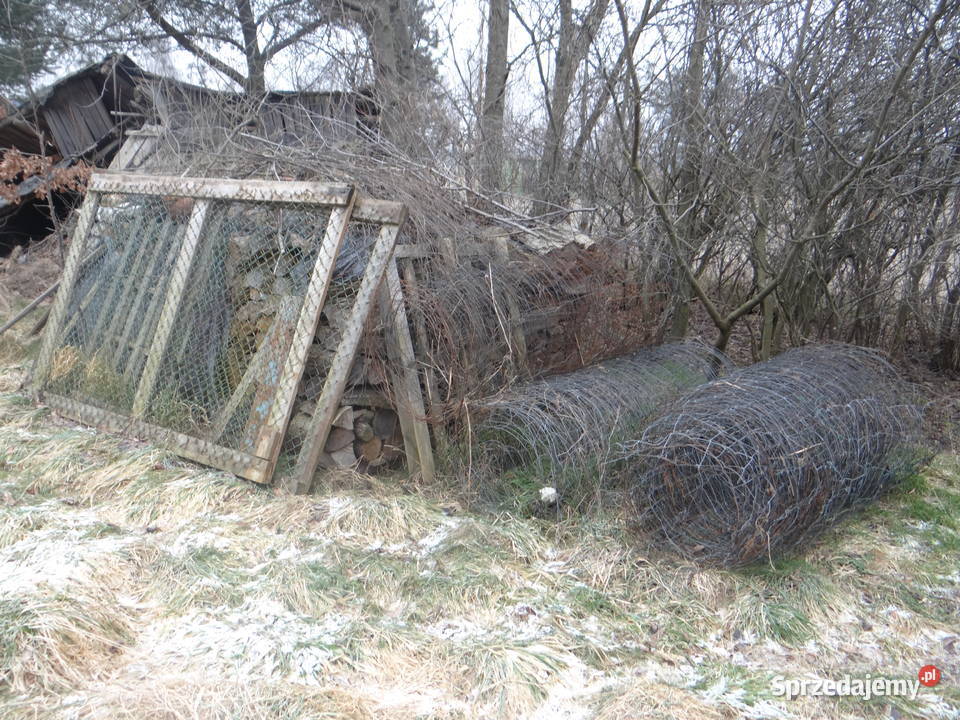 Sprzedam siatkę leśną bramę wjazdową Wołowa dolnośląskie Wołów