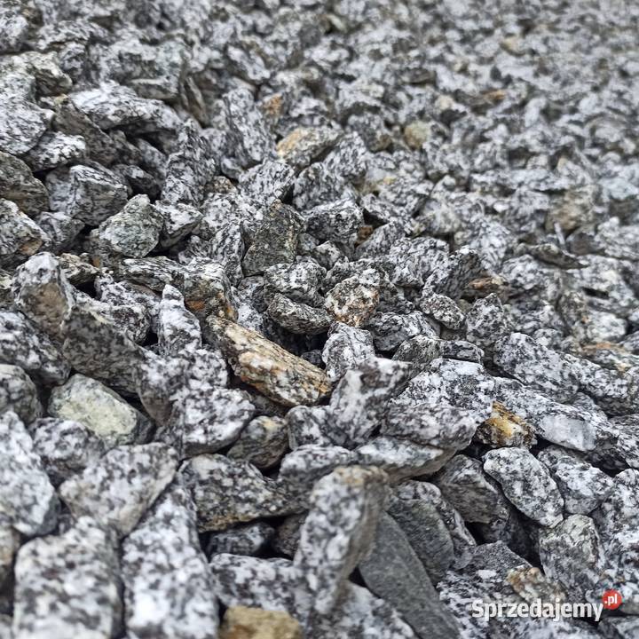Grys Granitowy Dalmatian szary Kamień ozdobny Grys i kermazyt Jaworzno