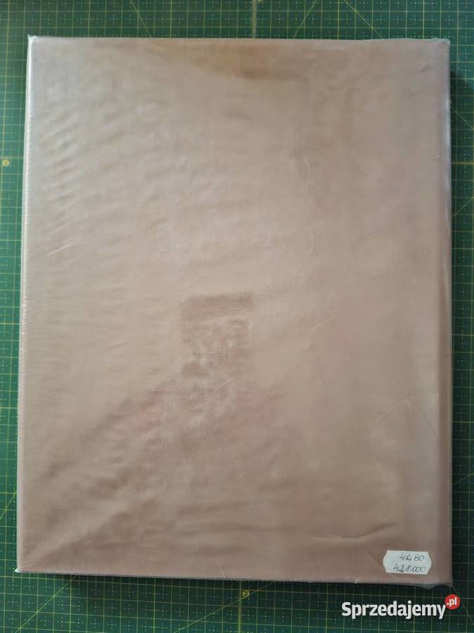 Zamki i zamczyska Adam Bujak ISBN 8385195912 Kraków