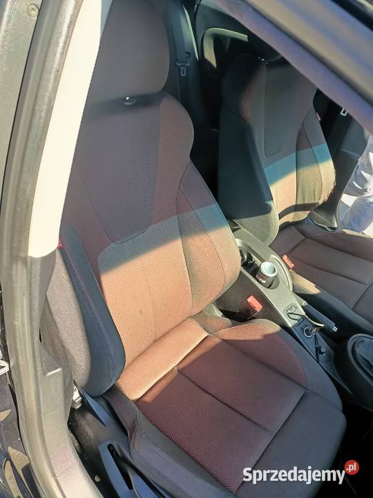 Leon 274hp wydech popsy procedura Niedźwiedź