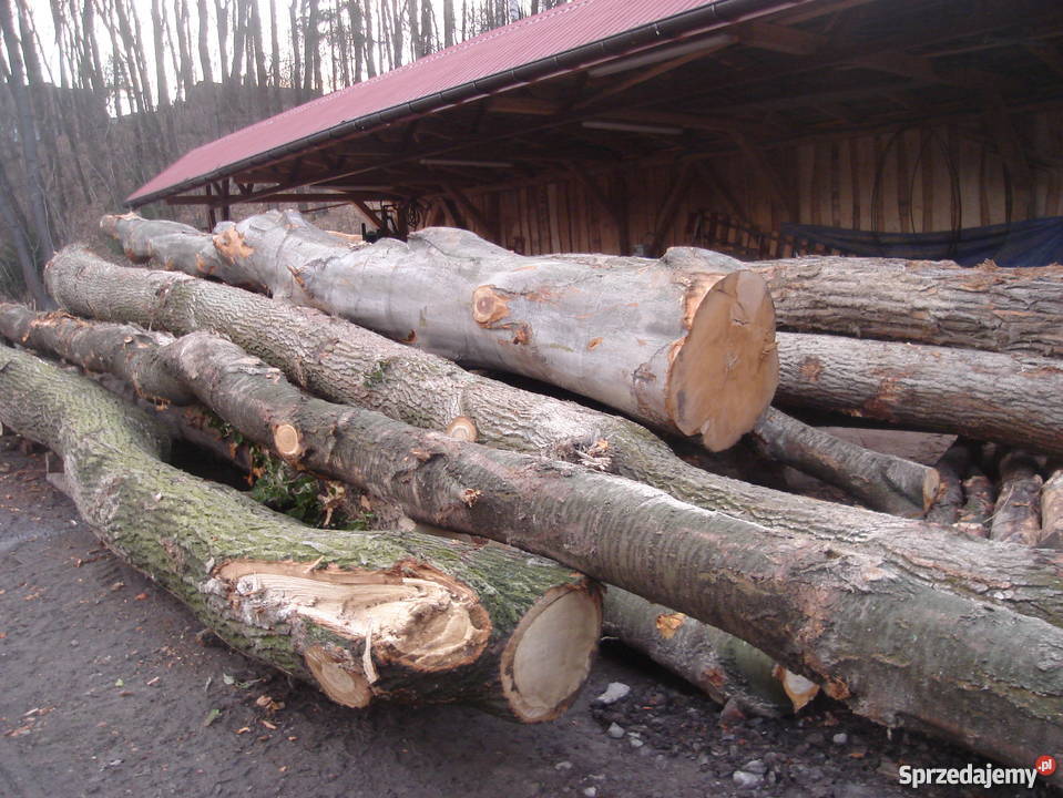 Usługi tartaczne cięcie drewna trak taśmowy Materiały budowlane Izdebnik