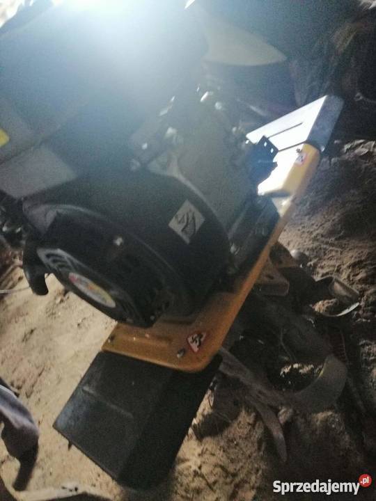 Glebogryzałka nieuszkodzony