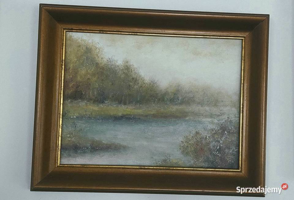 Biebrza Park Narodowy obraz 3040 Rama Lublin