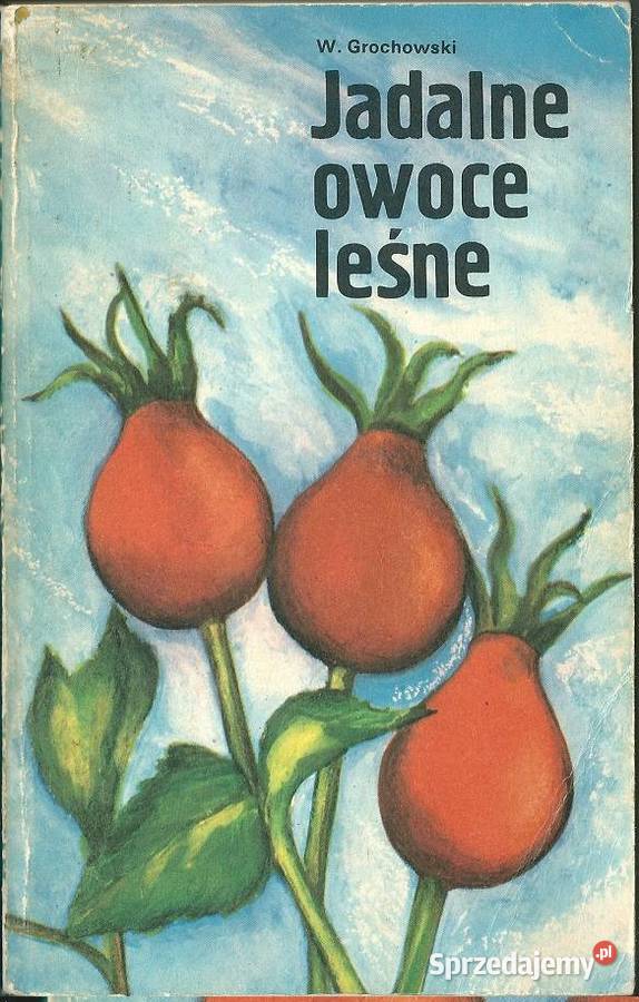 Jadalne owoce leśne WGrochowski lasowocewitaminy Łódź