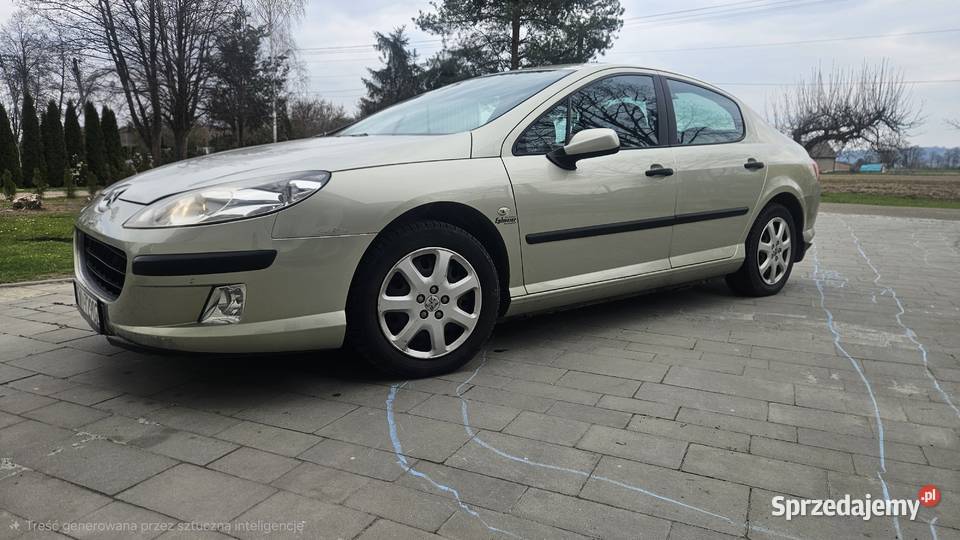 Peugeot 407 18 benzyna 2005r Cichawa