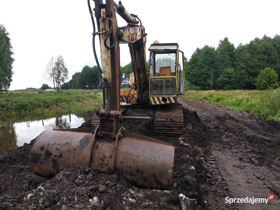 Waryński k408 Błotniak Złotnica