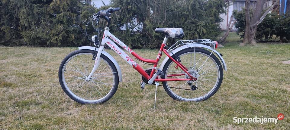 Rower dziecięcy Bingo Suzana 24