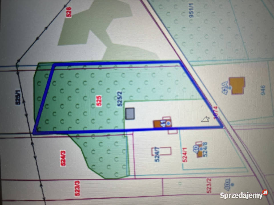 Dom 90 m2 na działce 5000 m2 w Tymienicy Nowej