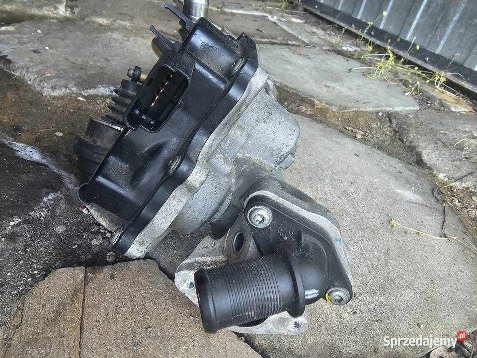 Chłodnica EGR Peugeot 508 22HDI Wrocław