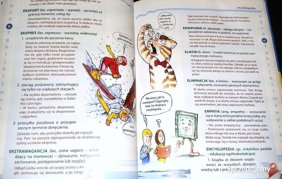 Ilustrowany słownik wyrazów obcych Katarzyna Chełm