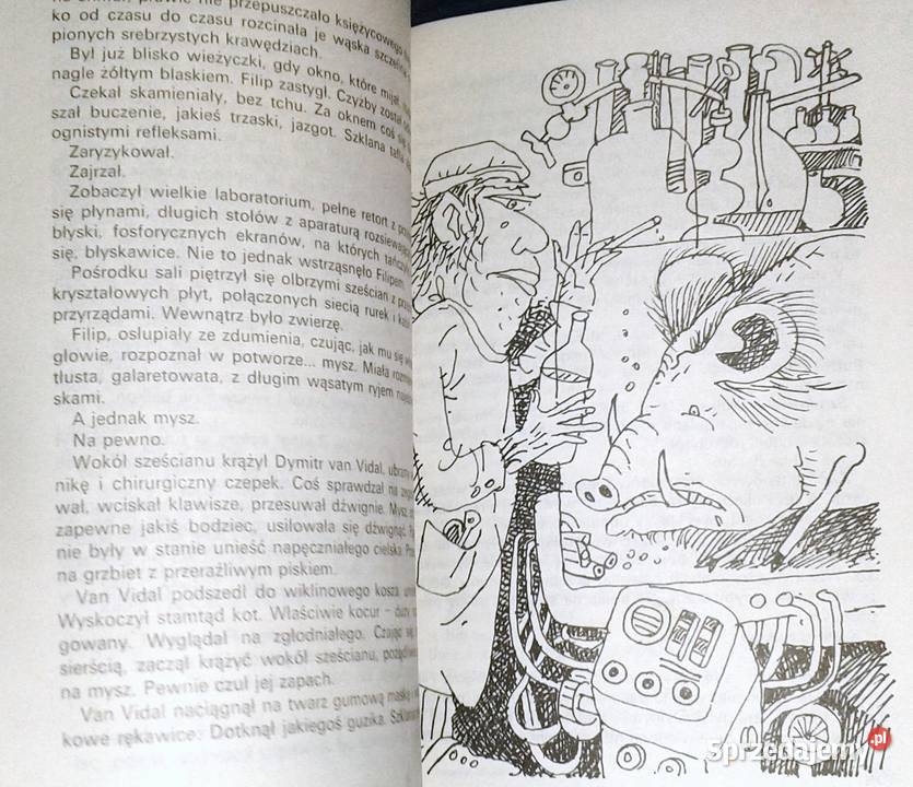 Zakładnik szaleńca Aleksander Minkowski Chełm