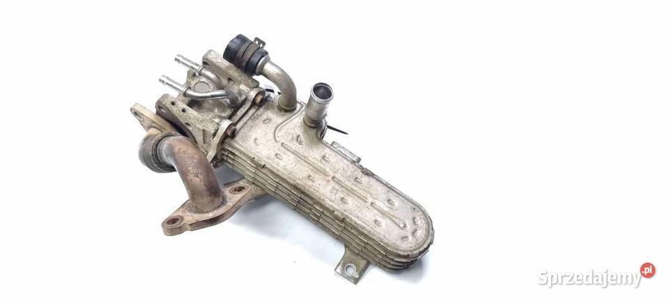 CHŁODNICA EGR SKODA OCTAVIA II 036131513AD Lipno