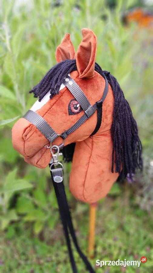 Konik hobby horse Kraków