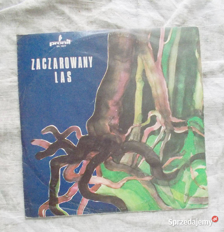prl płyta winylowa zaczarowany las vintage płyta Szczecin