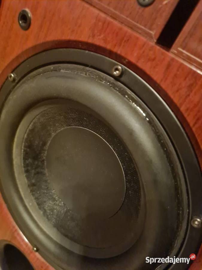 Kolumny kina domowego Taga 51 Rybnik