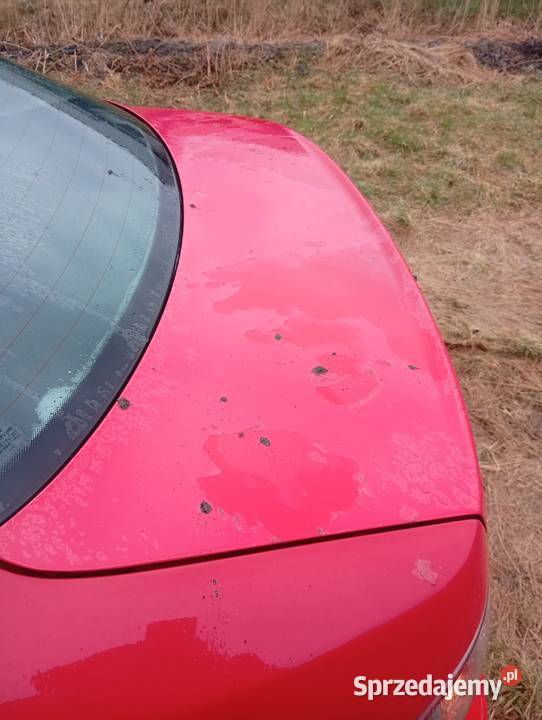 Seat Cordoba do jazdy okazyjnie Chocznia