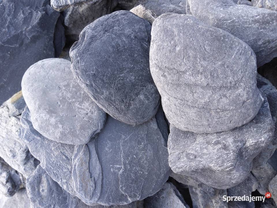 OTOCZAK FILITOWY Micigózd