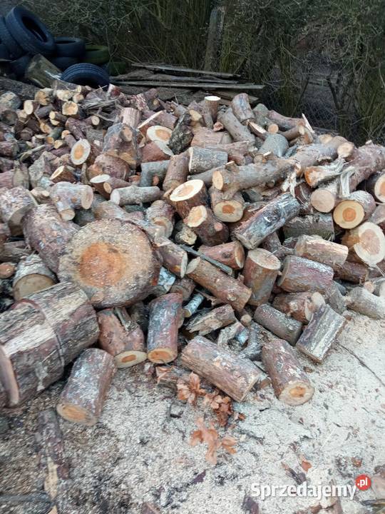 Drewno opałowe Włocławek