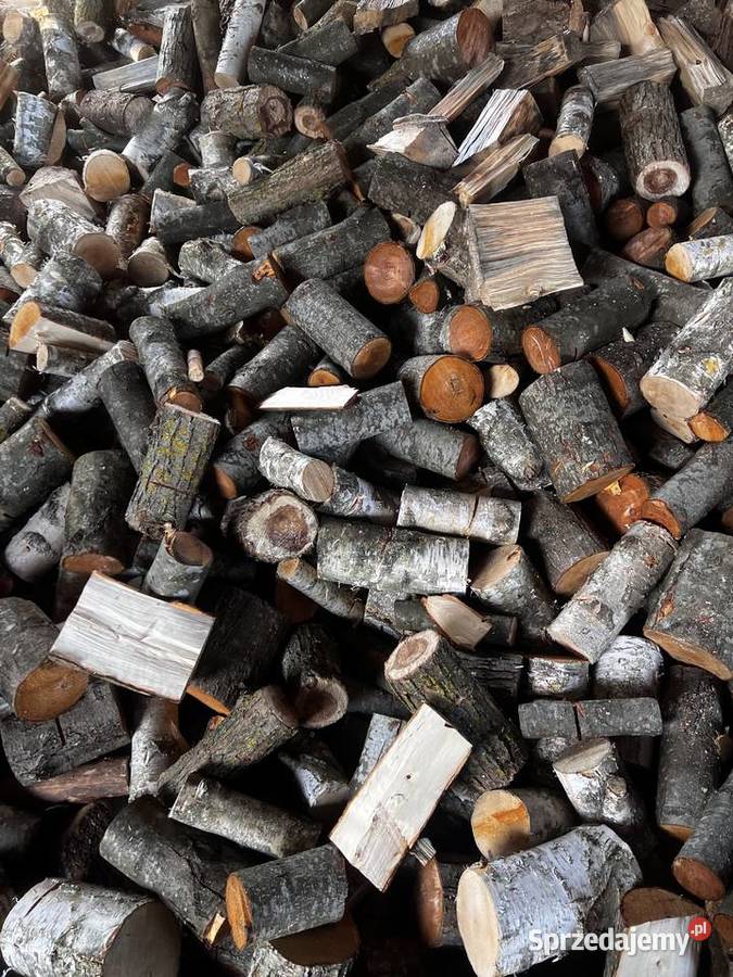 Drewno opalowe Zalesie