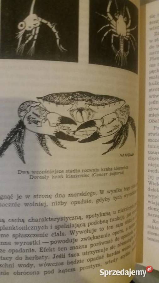 Drugi żywioł Carrington piękne książki dziecięce