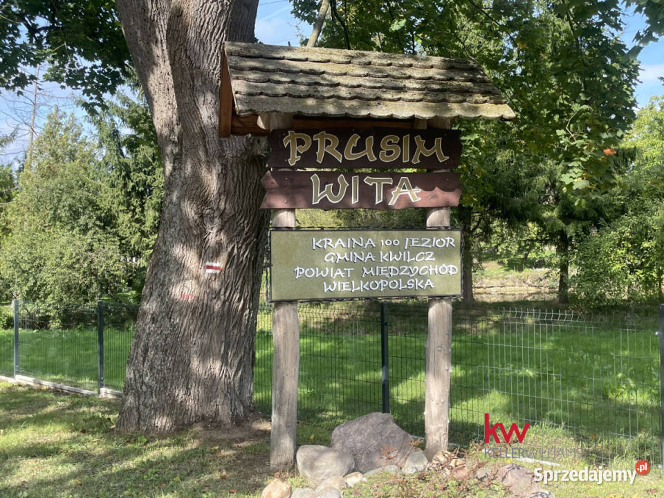 sprzedaży gruntu 980m2 Prusim sprzedam