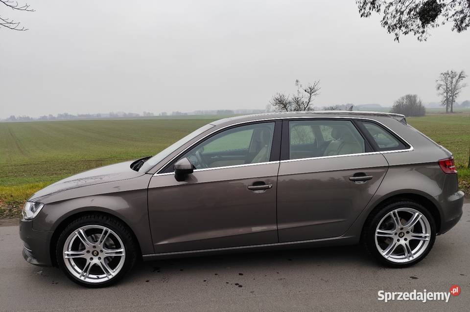 Audi A3 8V 2013r 20 TDI skóra alu 18 navi Lubasz