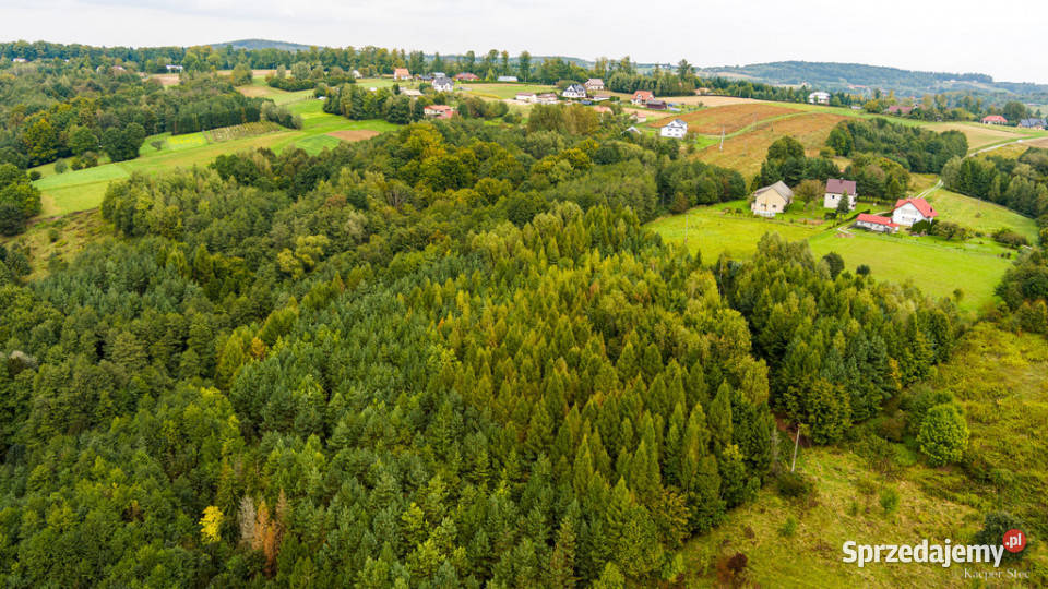 Na sprzedaż działka w Zalasowej Zalasowa
