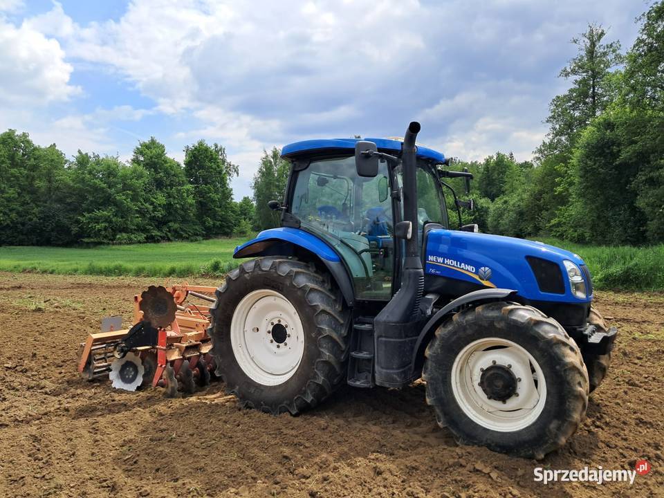 Holand nie Case Straszęcin