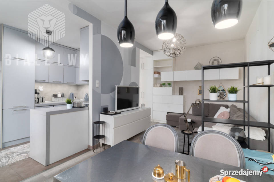 Mieszkanie 4159m2 2 pokoje Warszawa Nowowiejska Sprzedaż sprzedam