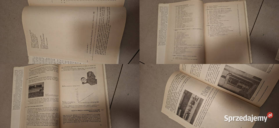 1 wydanie Badania Konstrukcji Mostowych Ryżyński Łęczyca