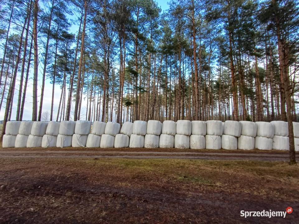 baloty 120x120 pomorskie Zielona Chocina